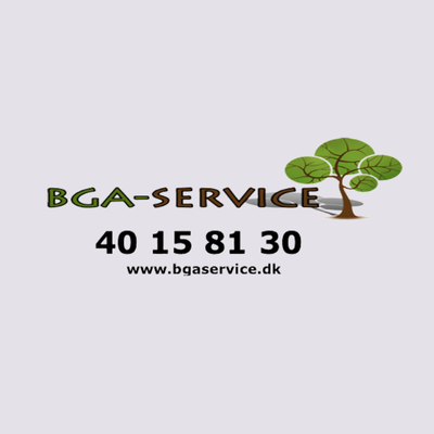 BGA Service